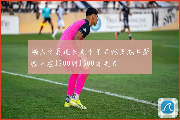 湖人今夏追求大个子目标罗威年薪预计在1200到1300万之间