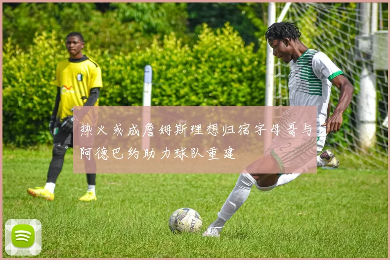 热火或成詹姆斯理想归宿字母哥与阿德巴约助力球队重建