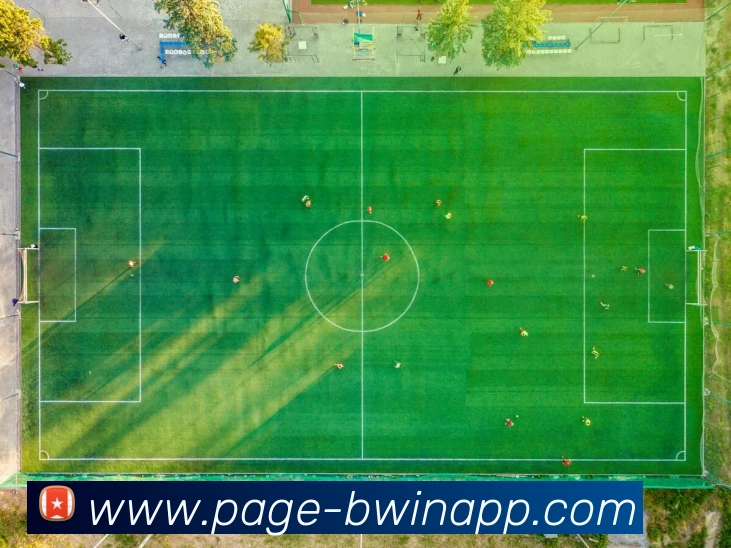 BWIN体育APP 高清赛事图