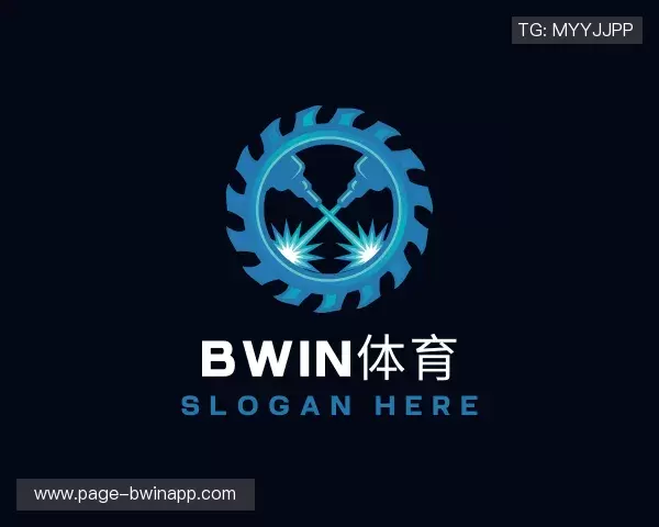 介绍BWIN体育